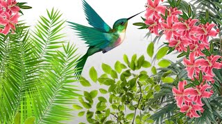 Smallest Bird of the world as 😊 Bee Hummingbird |Amazing facts in hindi |Hindi facts| Facts ka Magic