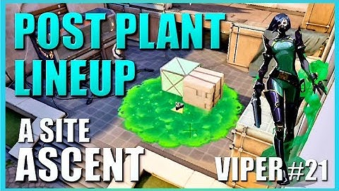 VIPER LINEUPS - ASCENT - Post Plant Snake Bite Setup Guide #21 - A Site