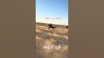 محـمودالعيسى تلاوة سورة العاديات #اكسبلور #المصحف #شعر #دويتو #الرحمن #التغطيه #لايك #duet