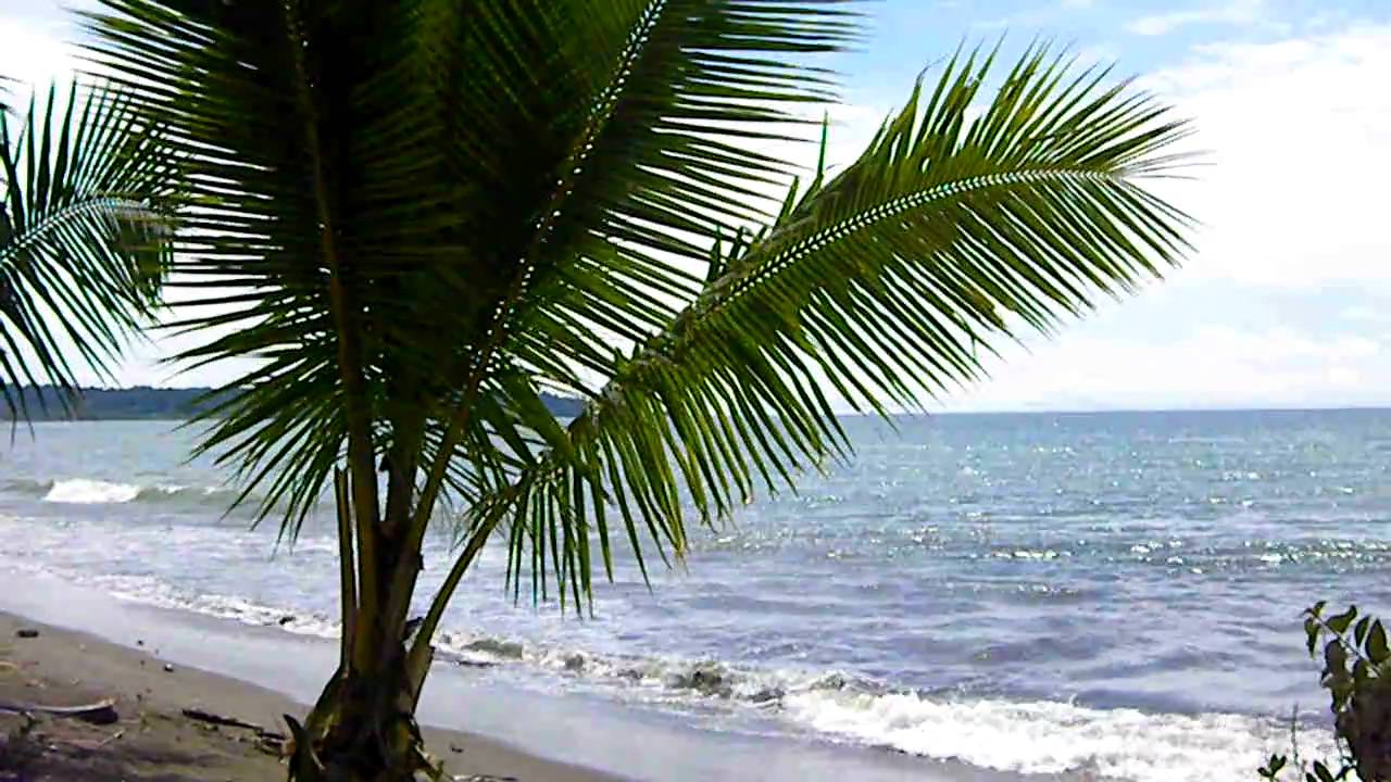 Watch arthur lyman - shangri la 1964.AVI on YouTube