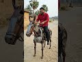 Scrap Metal Horse Ride 🐎⚙️ #shorts