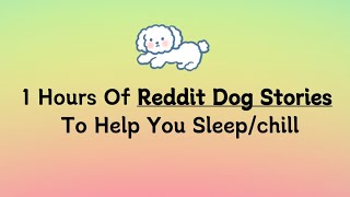 1 Hours Of Reddit Dog Stories To Help You Sleep #reddit  #dog  #doglover #sleep  #story #viralvideo