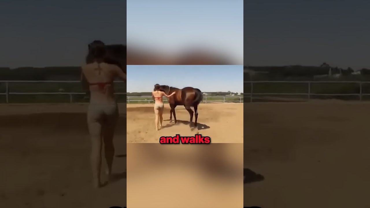 This Horse Has 200 IQ 