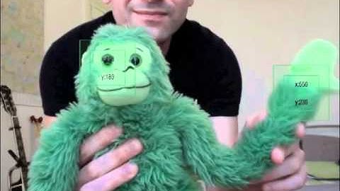 AS3 Panza Motion Tracking - Standard Demo