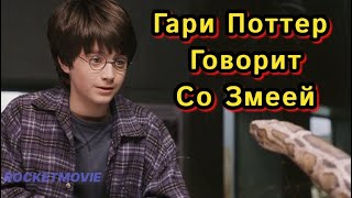 Гари Поттер Говорит Со Змеей \ Фильм Гарри Поттер 2001 \ Что Посмотреть?