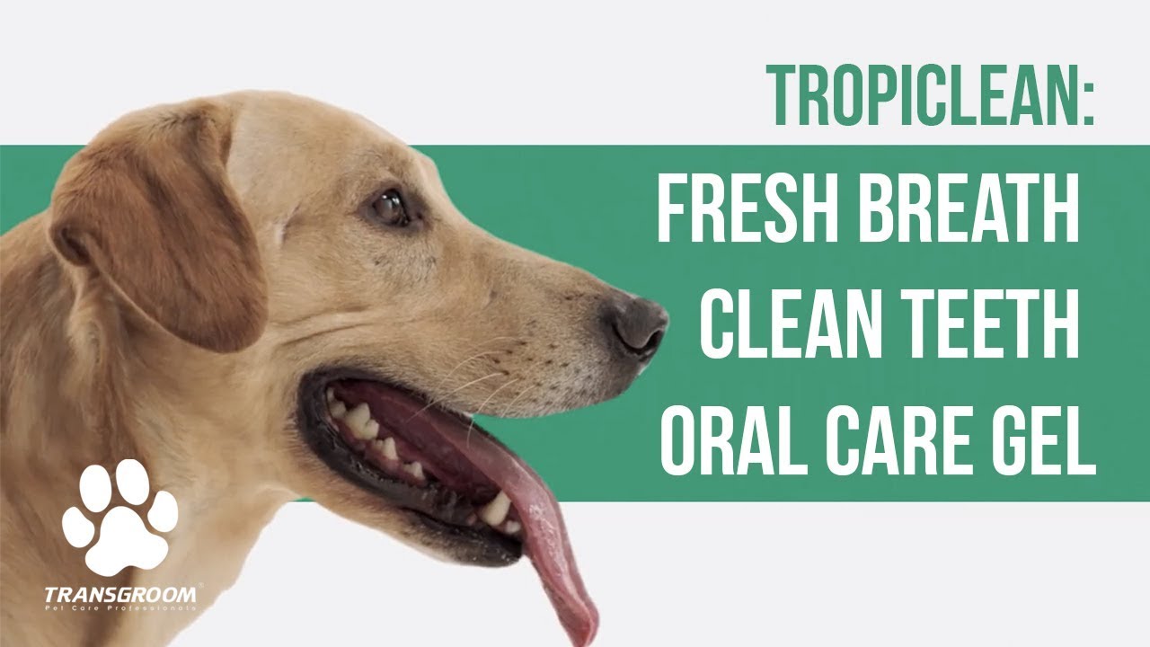 tropiclean oral care gel