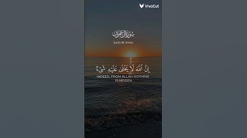 ان الله لا يخفى عليه شيء 🌿 قرأن كريم القارئ عبد الرحمن مسعد 🌿