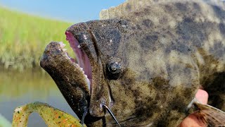 How To Catch Flounder In The Summer (Inshore & Nearshore)