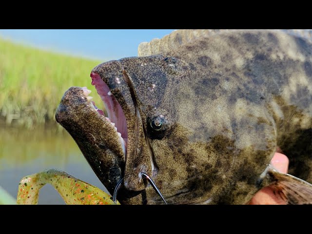 Capt. Jimmy Price shares his priceless flounder-fishing expertise