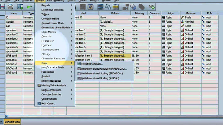 Reliability test: Compute Cronbach's alpha using SPSS