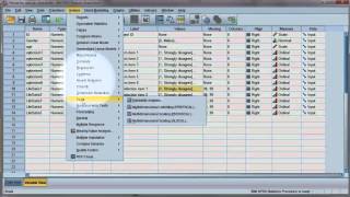 Reliability test: Compute Cronbach's alpha using SPSS