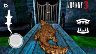 How to play as Crocodile in Granny 3! Funny moments at granny's house!