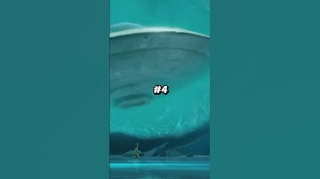 Did You Notice These Five Animation Mistakes in Ice Age