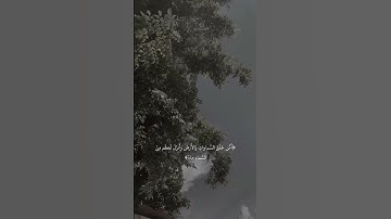 القرآن الكريم | رسالة ربانية لك🤍.
