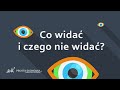 Co widać i czego nie widać | Ekonomia w jednej lekcji