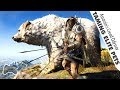 Assassins creed odyssey how to tame elite alpha animals as pet  unarmed bare hands
