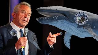 Chapo Trap House: Demo-BRATs, Trump-ublicans, & Whales 4 RFK Jr. + Jerry Seinfeld Hindutva Assassins