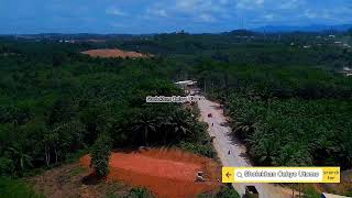 IKN!! MENUJU PERESMIAN || MENGEBUT JALAN  PENGHIJAUAN // SERTA PERAWATAN TANAH WILAYAH ISTANA NEGARA