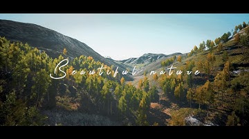 Beautiful Nature - UE4 4.24.1