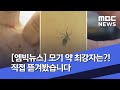 [엠빅뉴스] 모기 약 최강자는?! 직접 뜯겨봤습니다 (2020.07.17/뉴스외전/MBC)