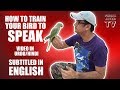 Parrot ko Bolna Sekhana | HOW TO TRAIN YOUR BIRD TO SPEAK | video in URDU/Hindi Subtitled in English