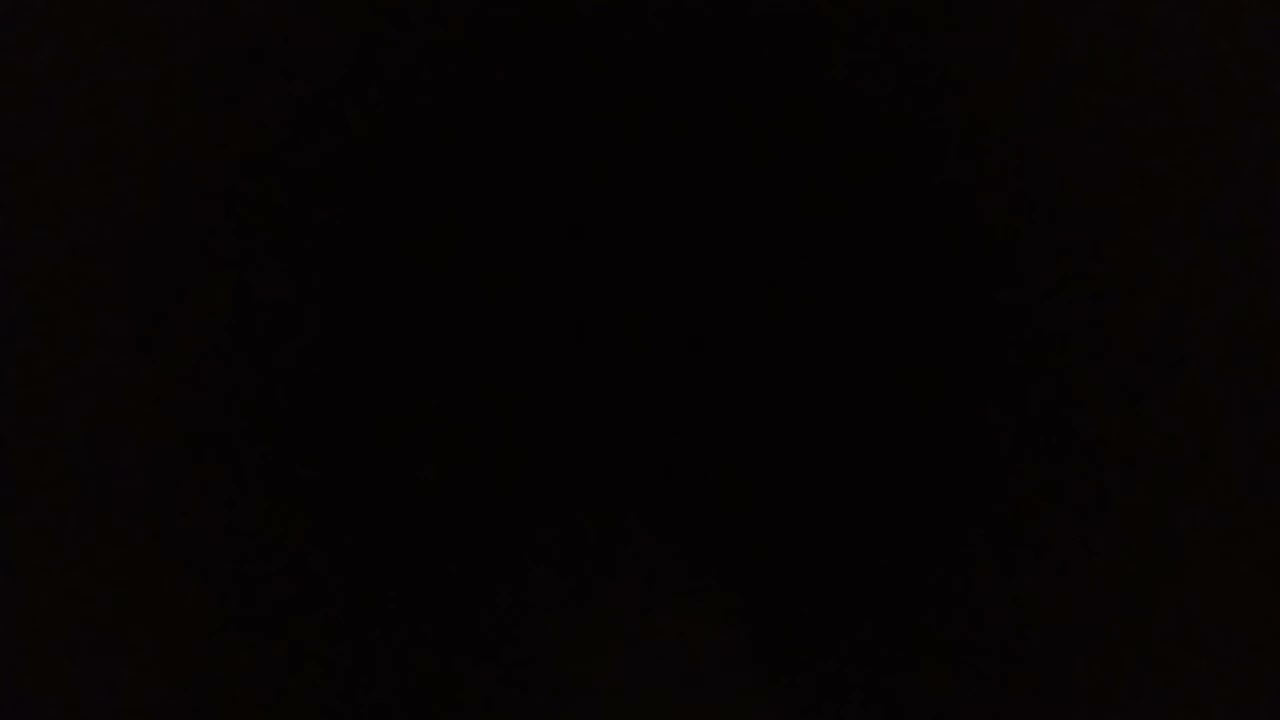 Wallace And Gromit's Thrill-O-Matic Breakdown Spiel