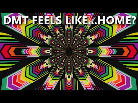 Why does DMT feel like Home?