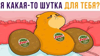 СКОЛЬКО КИВИ НА ПРЕВЬЮ?))) Приколы с котами | Мемозг 699