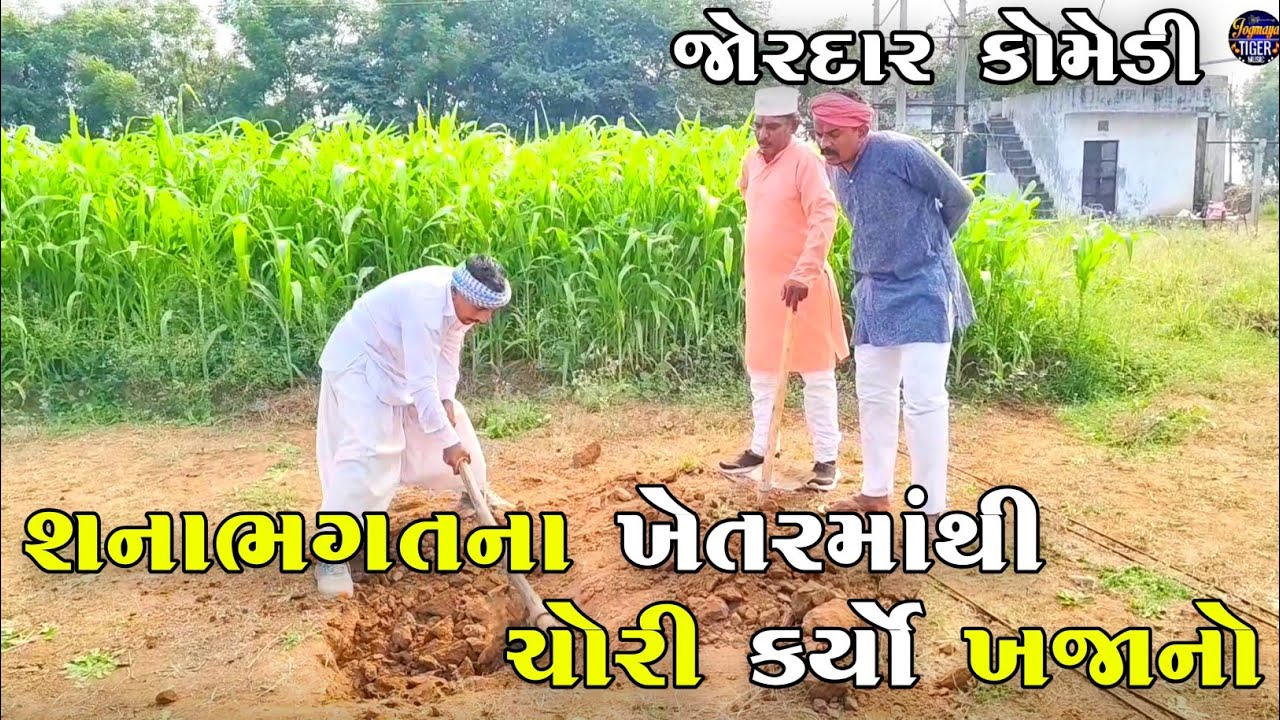 શનાભગતના ખેતરમાંથી ચોરી કર્યો ખજાનો | SHANABHAGAT KHETAR MATHI CHORI KARYO KHAJANO | JOGMAYA TIGER 