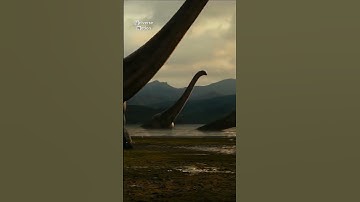 Amber fossils provide a unique window into the past #fossils #amber