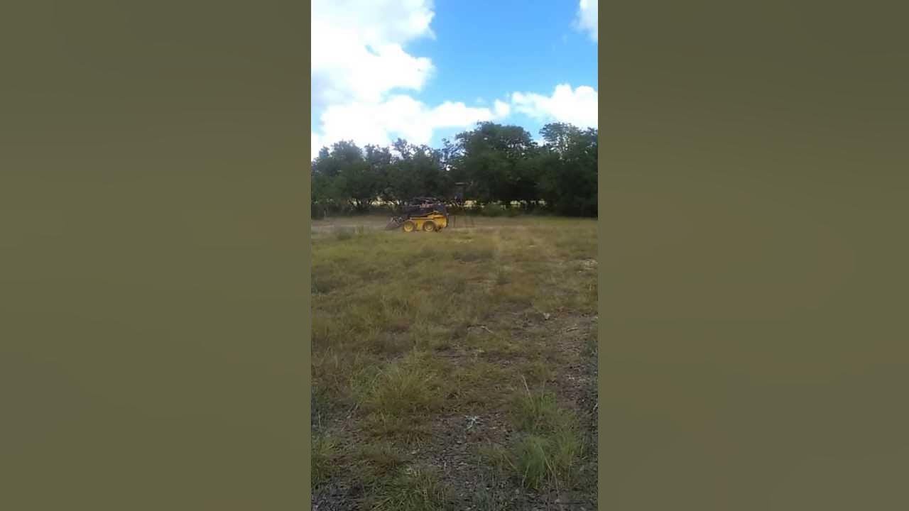 winter-food-plot-for-deer-hunting-texas-hill-country-youtube