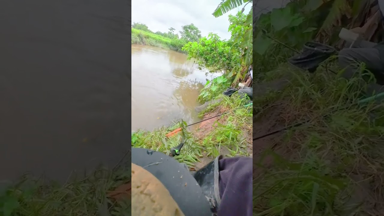 Traditional Countryside Fishing Challenge  Survival River Skills