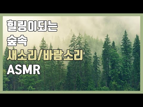힐링이되는 숲소리 바람소리 풀벌레소리 / 수면유도, 명상음악, 힐링소리, 백색소음 ASMR