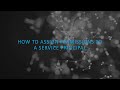 PowerShell  / How to assign to a Service Principal Purview Permissions