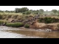 30,000 wildebeest cross the Mara River - Part 2