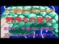 🍀ここ最近のお相手の気持ちの変化🔔おしゃべり:今貴方に必要なエンジェルからのメッセージ🧲【恋愛】【お相手の気持ち】【復縁】【片想い】🎨タロット🔎オラクル🌈占い🦄Tarot🐰Oracle🐹ルノルマン🐶