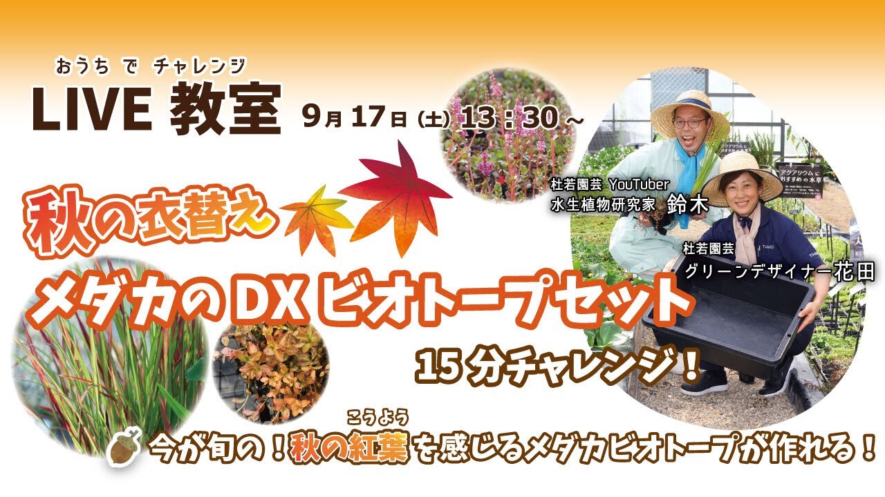 YouTube Live Class] Autumn Season: Let's Make a DX Biotope Set for