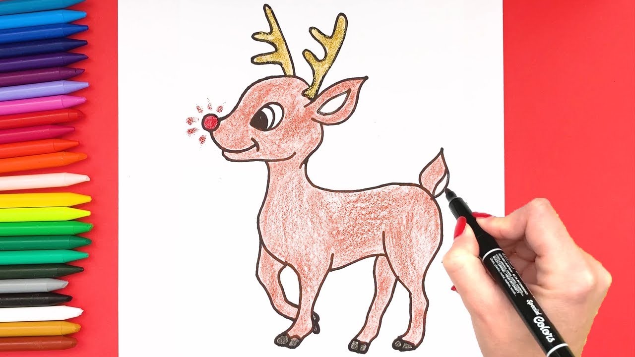 Domestic pig Cartoon Reindeer Drawing, Reindeer Eyes s, white, child,  monochrome png | PNGWing