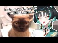 CATS ARE SO CUTE🐱 | MuuRain Reacts to Cute Animals
