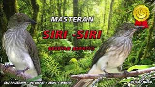 SIRI SIRI SUMATRA, BESETAN PEDIH !!!b - Belajar Kicau