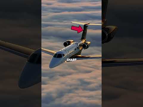 لماذا قاذفة B 2 الشبح لا تظهر على الرادار السبب الحقيقي سيصدمك 