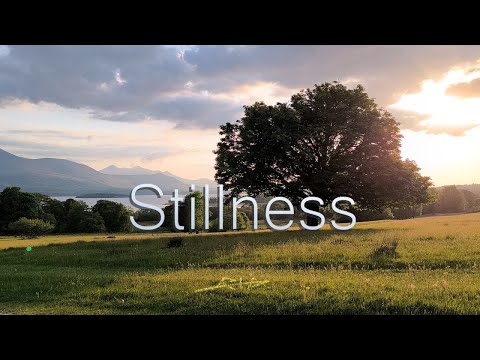 Red Tape Stillness Lyrics