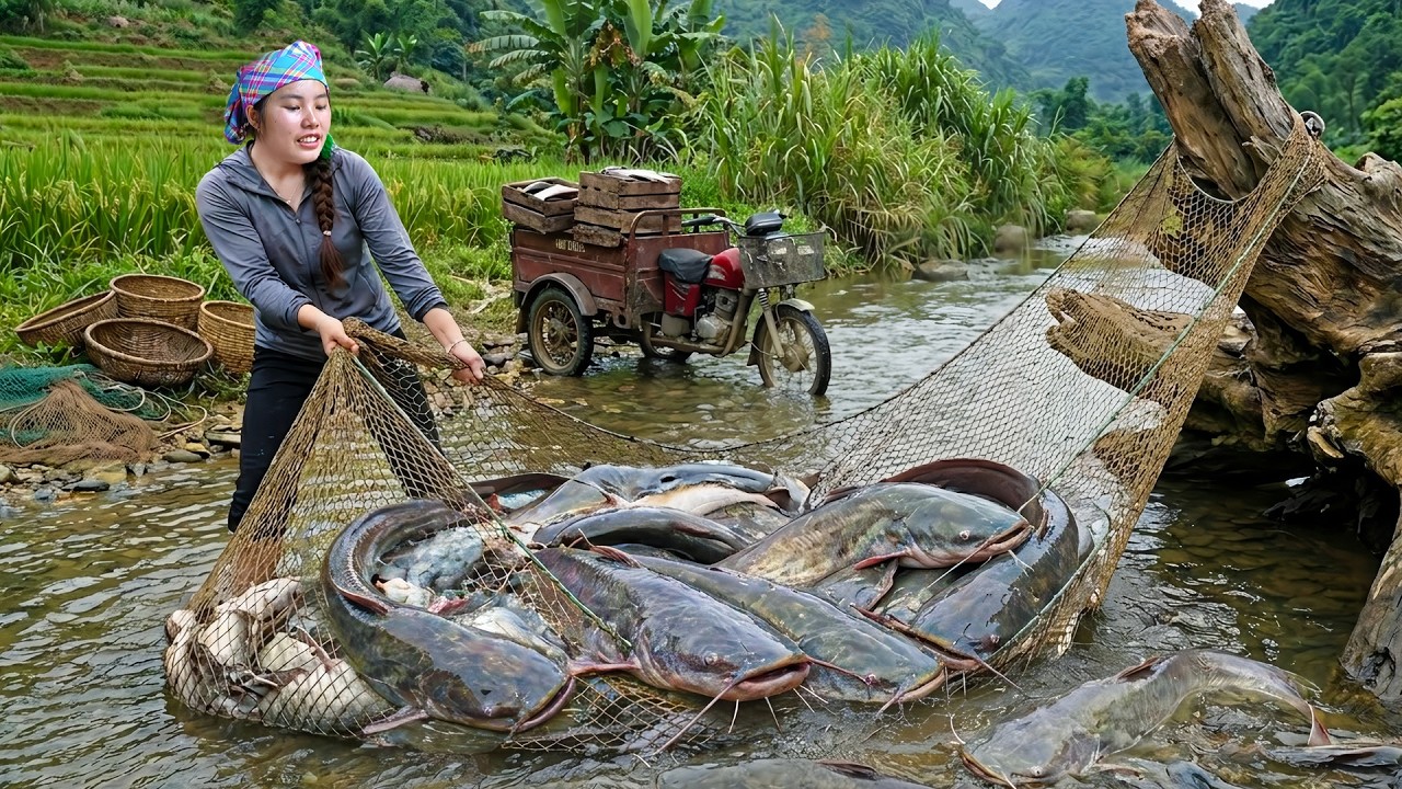 Catching a Giant School of Wild Fish in the Fields | Grilling Fresh ...