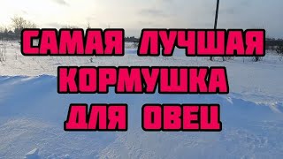 самая лучшая кормушка для овец , замело дорогу , черный петух жив , лпх с нуля.