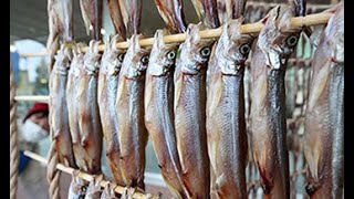 秋の味覚、シシャモの「すだれ干し」
