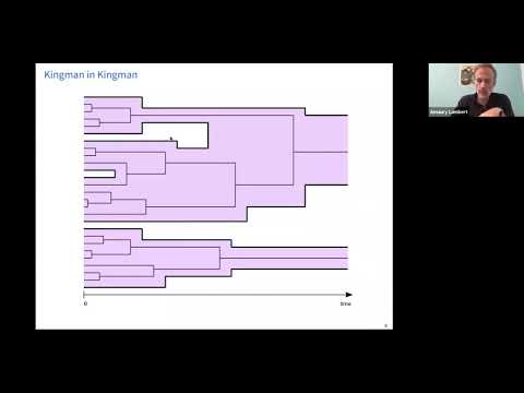 Amaury Lambert (Paris) -- Coevolving genes and species (Third of three lectures)