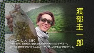 デプス サイドワインダー HGCS-65MLR レーザーウィッパー deps