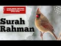 Surah Rahman | most relaxing quran recitation | Most Heart Touching Recitation | surah ar rahman 007