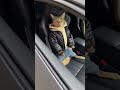 "What do you do for a living?" Cat in Supercar REJECTS Interviewer!