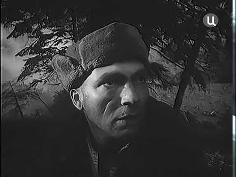 Фильм Жизнь прошла мимо.Про жизнь вора-рецидивиста Акулы.